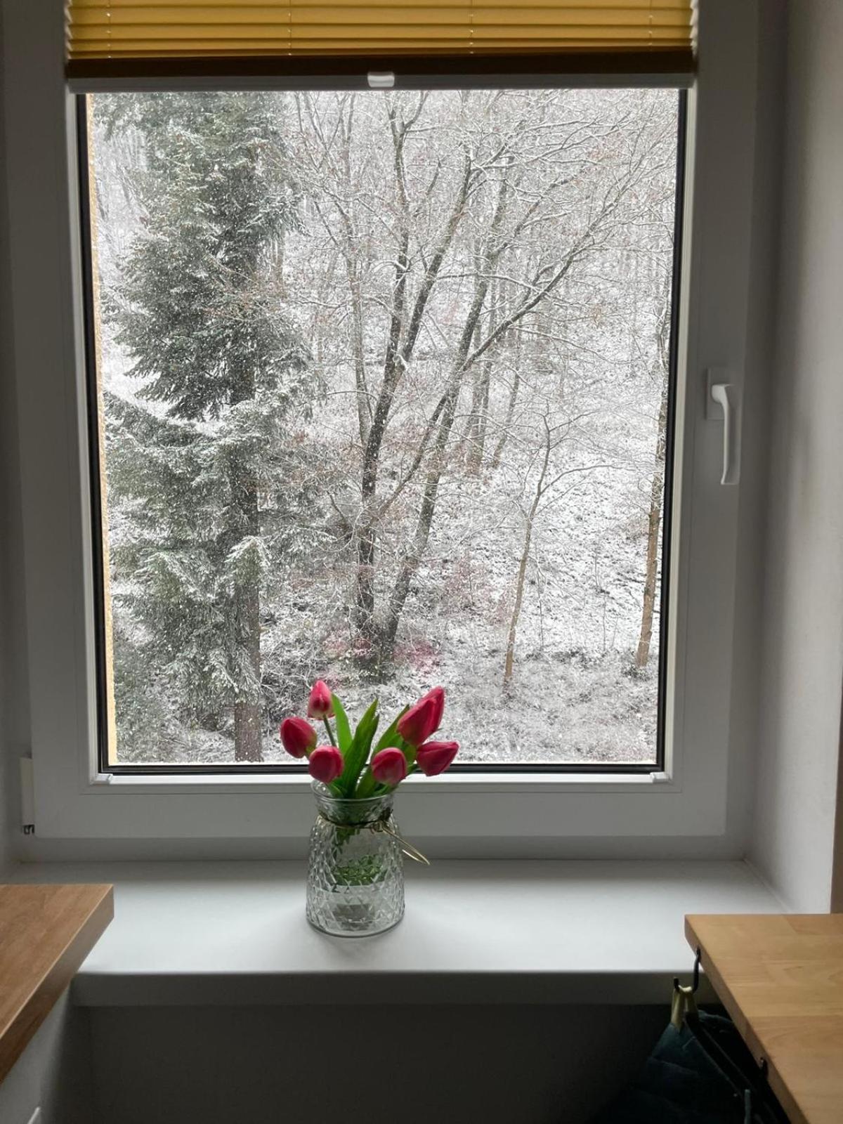 Apartman Claudia - Rezidence K Lanovce Jáchymov Esterno foto